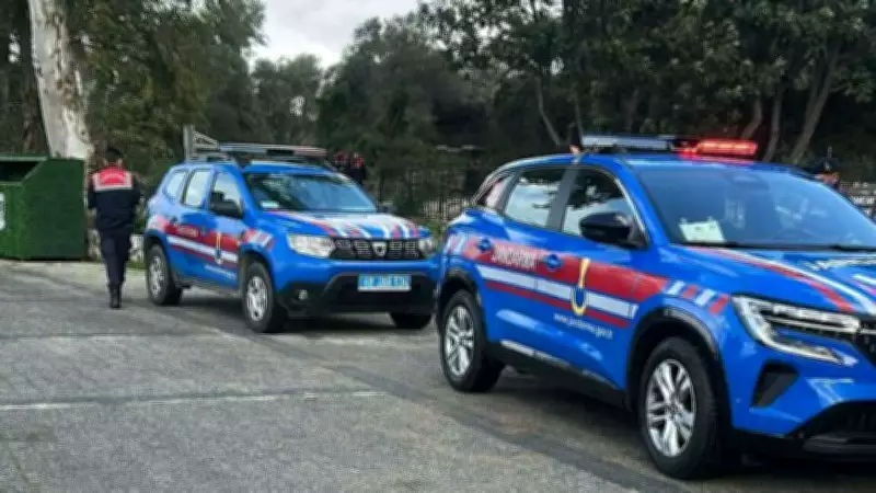 Bodrum'da 2 Sokak Köpeği Tüfekle Vuruldu: Şüpheli Serbest Bırakıldı, Savcılık Tutuklama İstedi