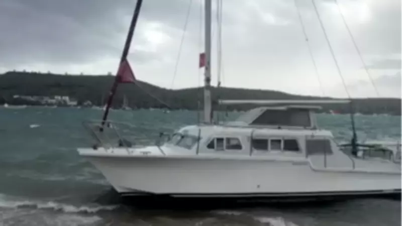 Bodrum'da Fırtına: Tekneler Karaya Oturdu, Feribot Seferleri İptal Edildi