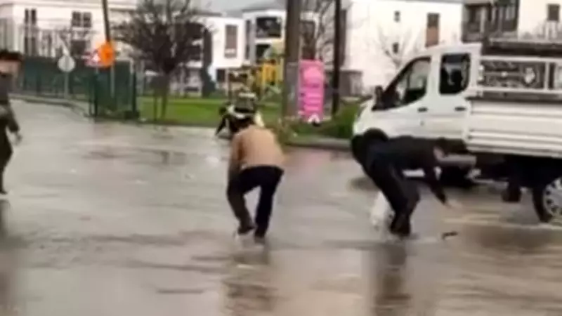 Bodrum'da Gölet Taştı, Asfalta Sürüklenen Balıklar Toplandı