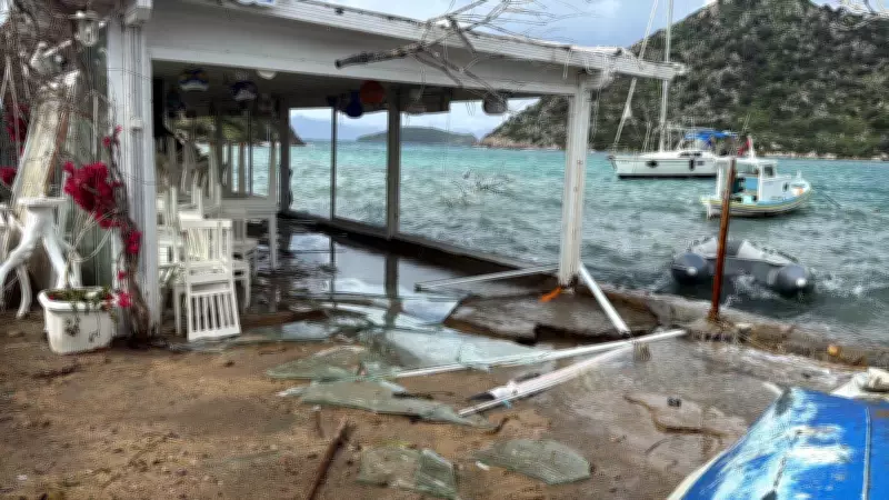 Bodrum'da Şiddetli Fırtına: Dalgalar İşletmeleri Vurdu, Sembolik Ağaç Yıkıldı