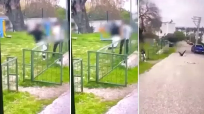 Bodrum'da Çocuğa Yönelik Şiddet Görüntüleri Sosyal Medyada: 2 Kişi Gözaltında