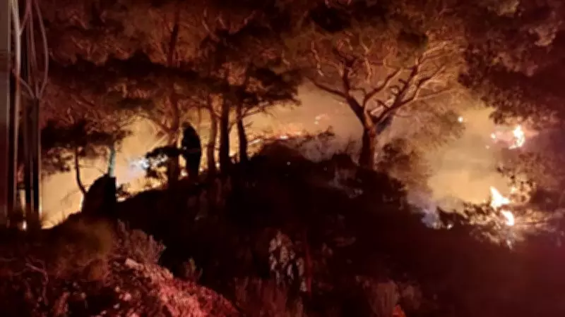 Bodrum'da Orman Yangını: 2 Dönüm Alan Küle Döndü, Ekipler Hızla Müdahale Etti