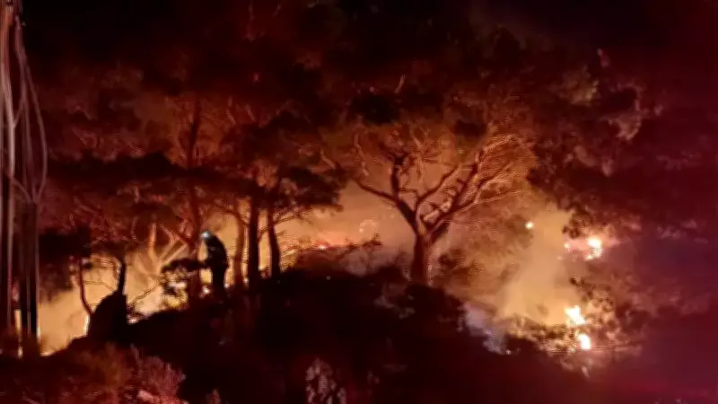 Bodrum'da Orman Yangını Kontrol Altına Alındı, Yüksek Gerilim Hattı Nedeniyle Çıktı