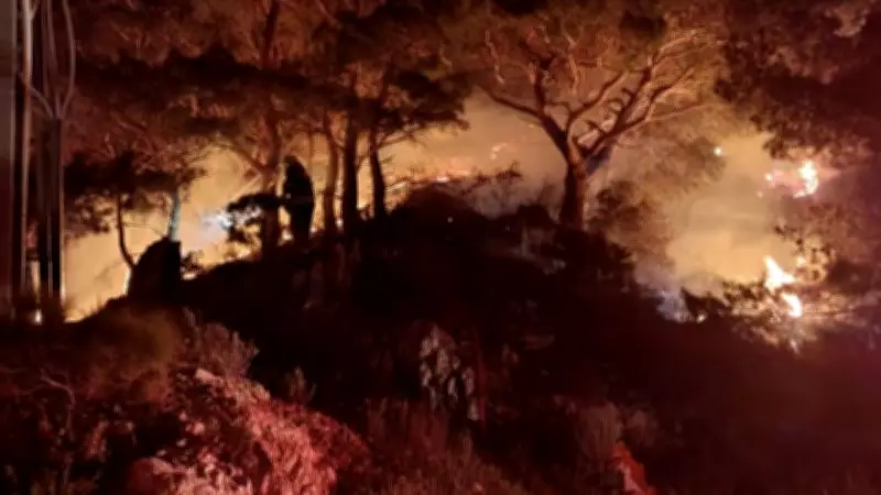 Bodrum'da Orman Yangını İtfaiye Müdahalesiyle Kontrol Altına Alındı