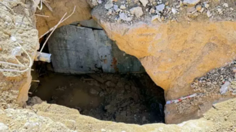 Bodrum'da Su Kazısında Tarihi Keşif: Boğa Figürlü Lahit Ortaya Çıktı