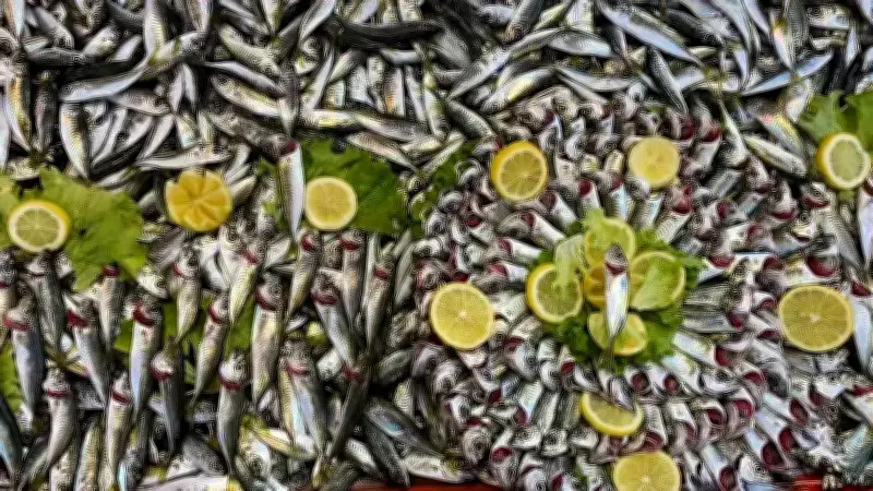 Bolu Pazarında Hamsi Yokluğu Sürüyor, Balıkçılar Şoklu Ürüne Karşı Uyarıyor