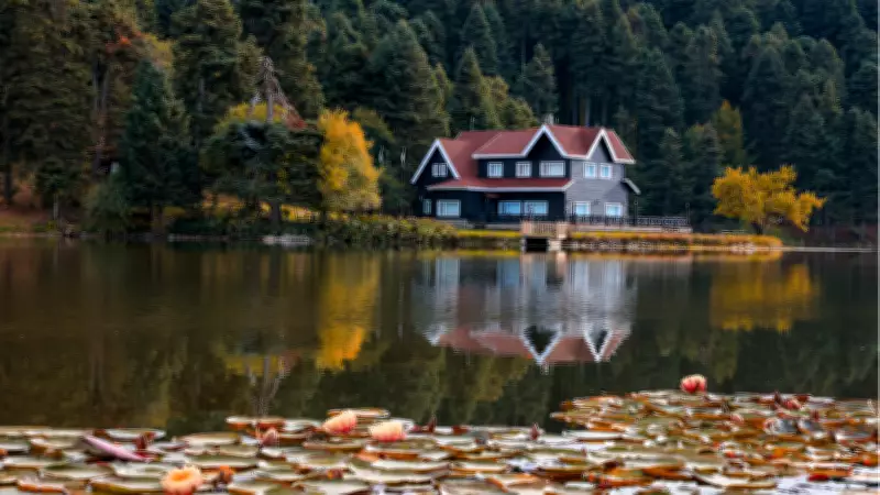 Bolu'nun Meşhur Lezzetleri ve Doğal Güzellikleri: Gezilecek Yerler ve Alınacaklar