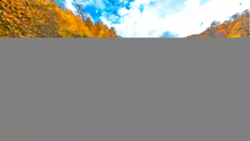 Bolu'nun Neyi Meşhur? Yemek, Gezi ve Alışveriş Rehberi