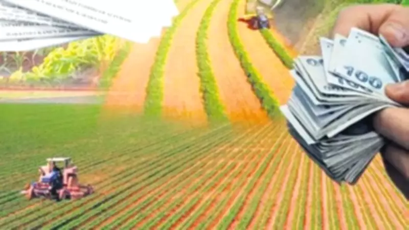 Borçlarını Yapılandıranlar İçin Yeni Kredi İmkanı: Hazine Desteği Devrede