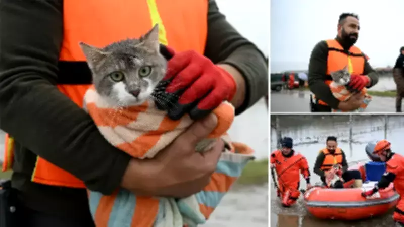Bosnaköy'de Taşkın: AFAD ve Gönüllüler Mahsur Kalan Evcil Hayvanları Kurtardı