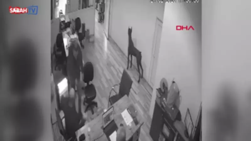 Bursa'da Şaka Yapmak İsterken Arkadaşının Kolonyalı Elini Yakan Kişiye Tekme Tepkisi