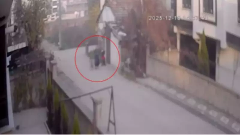 Bursa'da Bebek Arabasından 2 Milyon TL'lik Altın Çalındı, 45 Gün Sonra Yakalandı