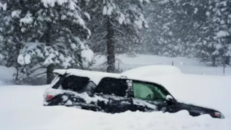 California'da Çığ Faciası: 16 Kayakçı Kar Altında Kaldı, Kurtarma Çalışmaları Sürüyor