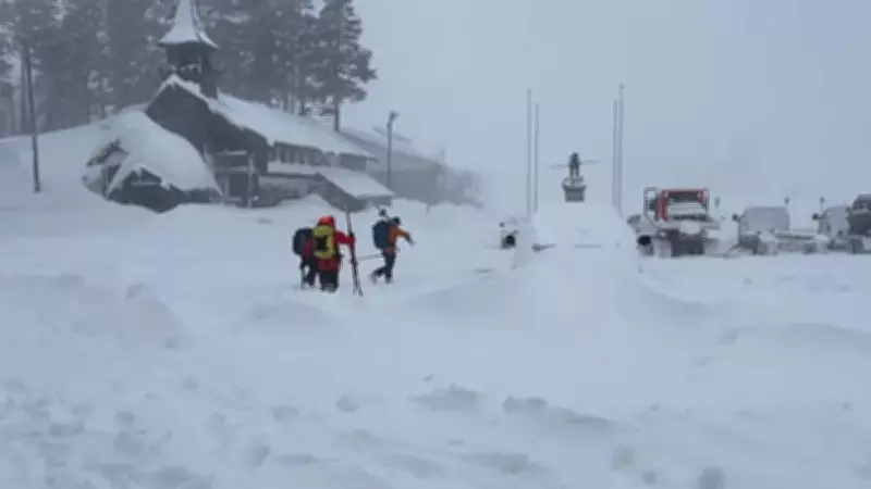 California'da Çığ Felaketi: Ölü Sayısı 9'a Ulaştı, En Ölümcül Olaylardan Biri