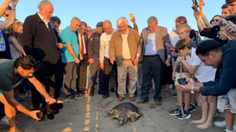 Caretta Caretta 'Cumhuriyet' 16 Ayda 11 Bin Kilometre Yol Katetti, 10 Bin Kişi İzledi