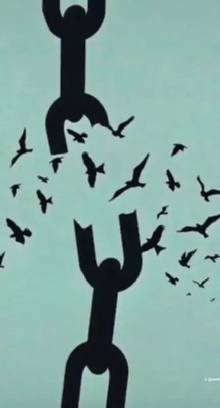 Cem Sancar: İçimizdeki Bilgeyi Konuşturarak Bilginin Özüne Ulaşmak