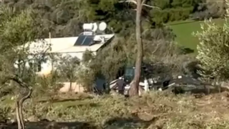 CHP'li Başkanın Zeytin Katliamı Skandalı: 100 Yıllık Ağaçlar Kesildi, İstifa Etti