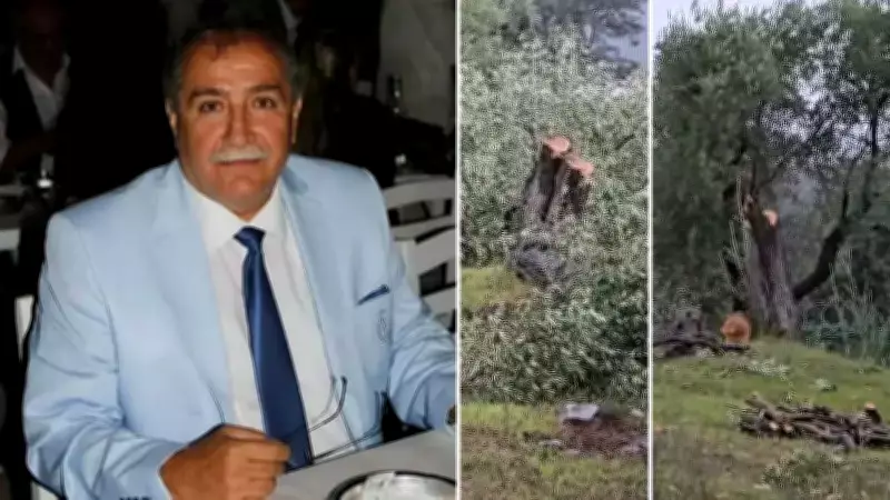 CHP'li Kılbey'e Zeytin Ağacı Kesimi İçin 36 Bin Lira Para Cezası