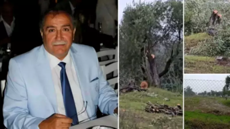 CHP'li İlçe Başkanı'nın Arazisindeki Zeytin Katliamı İstifaya Yol Açtı
