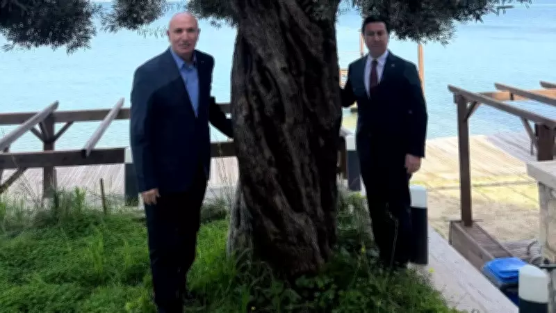 CHP'li Tanal'ın Zeytin Şovu Sosyal Medyada Tepki Topladı: 'Kerizime Dokunma' Yorumları