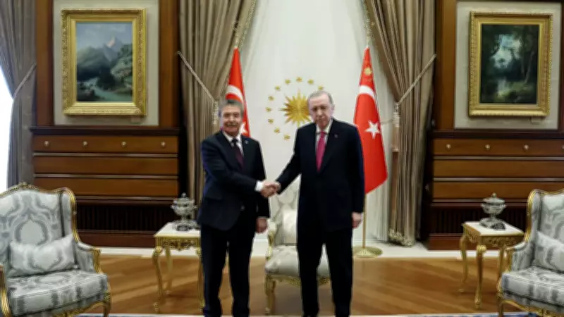 Cumhurbaşkanı Erdoğan, KKTC Başbakanı Ünal Üstel ile Görüştü