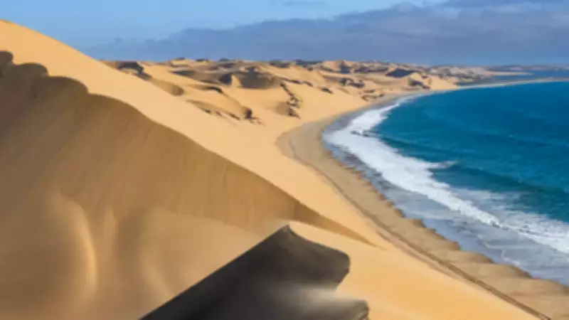 Denizin Dibinde Çöl Nasıl Oluşuyor? İşte Doğanın Şaşırtıcı Dengesi