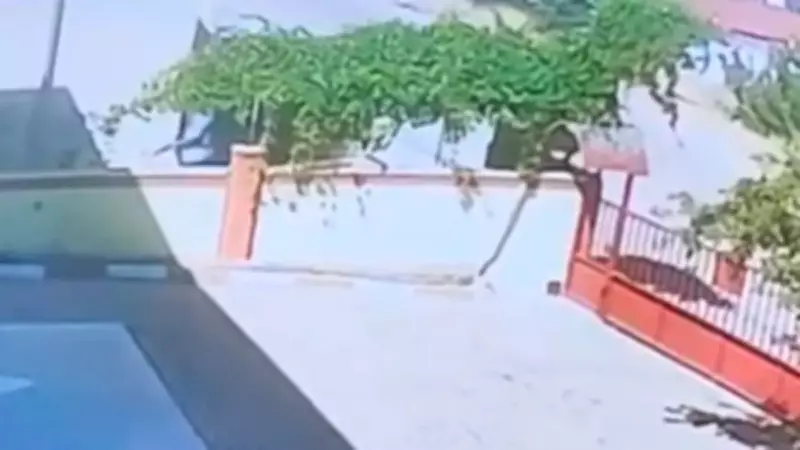 Dünür Cinayetinde İkinci Duruşma: Sanık Tahrik Edildiğini İddia Etti