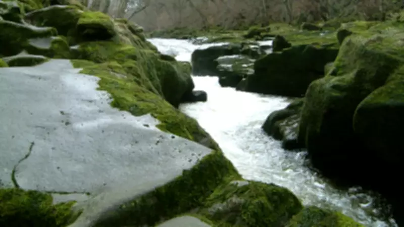 Dünyanın En Tehlikeli Nehri: Bolton Strid'e Dokunmak Bile Yasak!