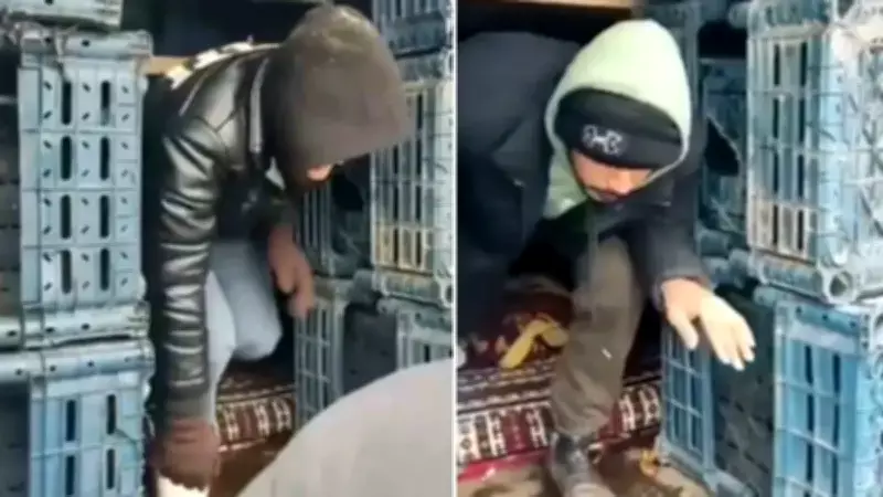 Düzce'de Göçmen Operasyonu: Polis ve Jandarma 13 Kişiyi Yakaladı