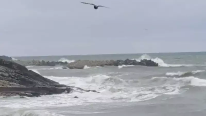 Düzce'de Şiddetli Rüzgar ve Dalgalar: Dalga Boyu 3 Metreyi Aştı
