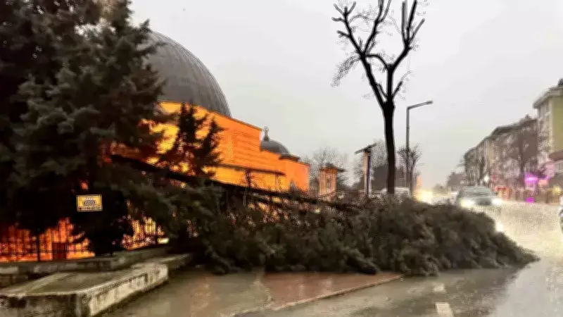 Edirne'de Fırtına ve Sağanak Yağış: Ağaçlar Devrildi, Trafik Aksadı