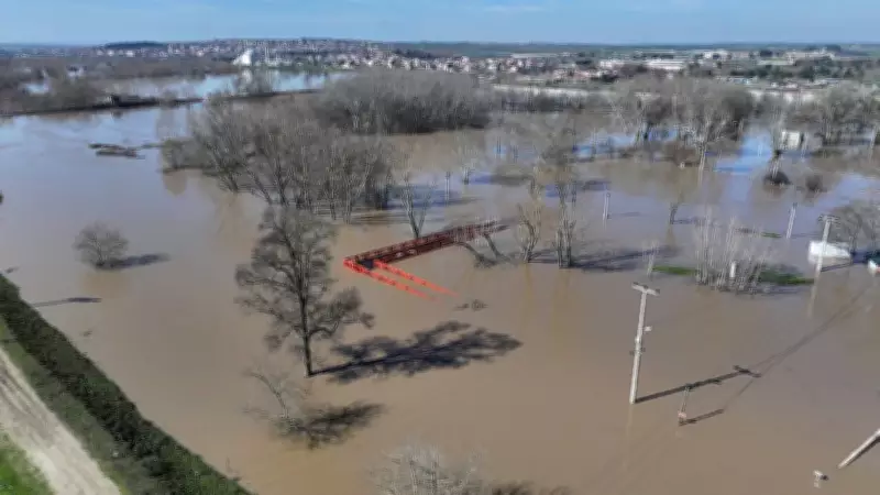 Edirne'de Meriç Nehri Taştı: AFAD Ekipleri Botlarla Hayvanları Kurtardı