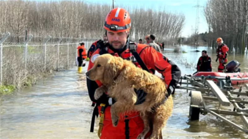 Edirne'de Meriç ve Tunca Nehri Taşkın Tehlikesi Devam Ediyor: Mahsur Hayvanlar Kurtarıldı