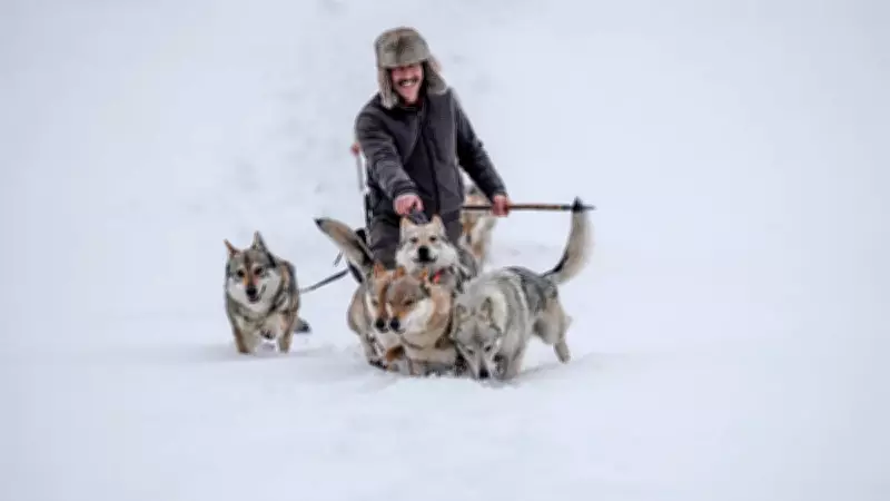 Şehir Hayatını Reddetti: Eksi 30 Derecede Türk Kültürünü Yaşatıyor
