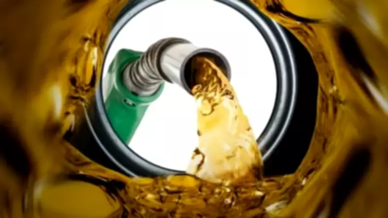 EPDK Raporu: Benzin ve Motorin Satışları 500 Bin Tonu Aştı, İthalat Arttı