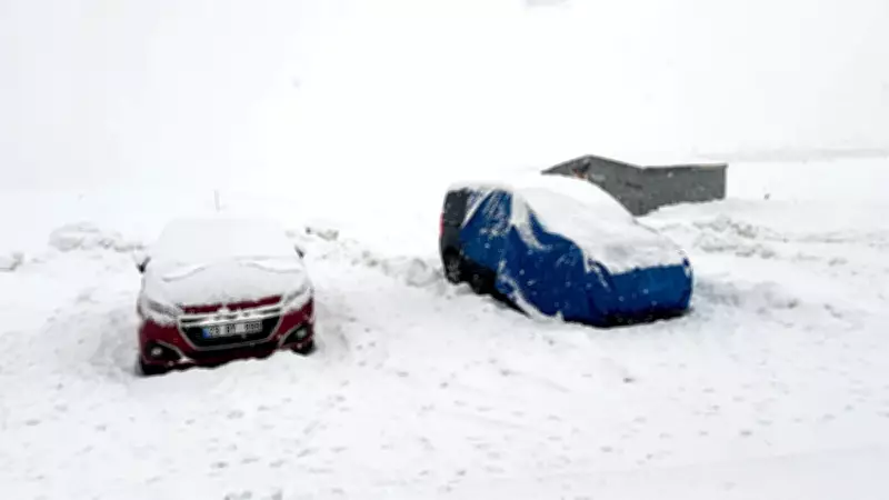 Erzincan'da Yoğun Kar Yağışı Ulaşımı Felç Etti