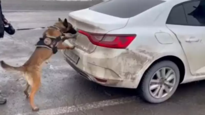 Erzurum'da Narkotik Köpeği Hera'nın Keskin Burnu 34 Kilo Uyuşturucuyu Ortaya Çıkardı