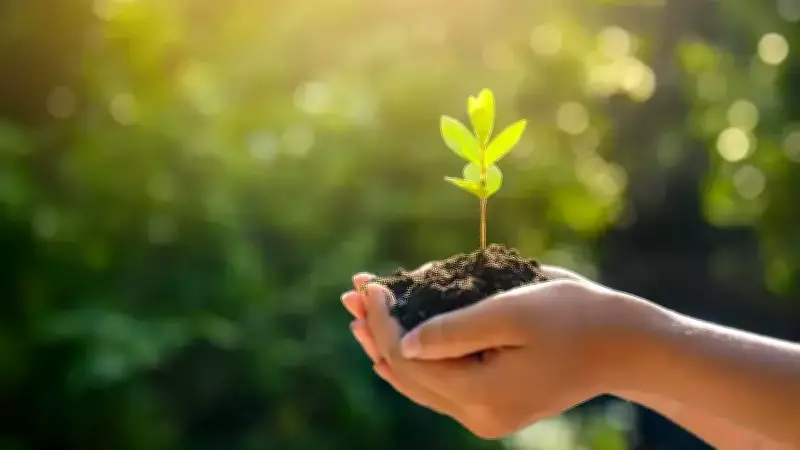 Erzurum'da Uzlaştırma Dosyaları Fidan Bağışına Dönüşüyor: 'Uzlaştırma Ormanı' Projesi