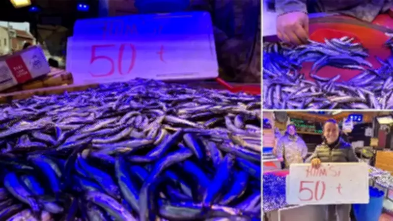 Eskişehir'de Hamsi Fiyatları 50 TL'ye Düştü, Vatandaşlar Tezgahlara Akın Etti
