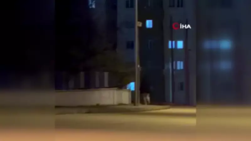 Eskişehir'de Çocukların Yumurta Saldırısı: Araçlar ve Spor Salonu Hedef Alındı