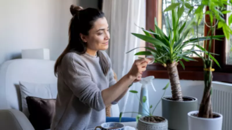Evde Bitki Yetiştirmek: Stresi Azaltan Doğal Terapi ve Sağlık Kaynağı