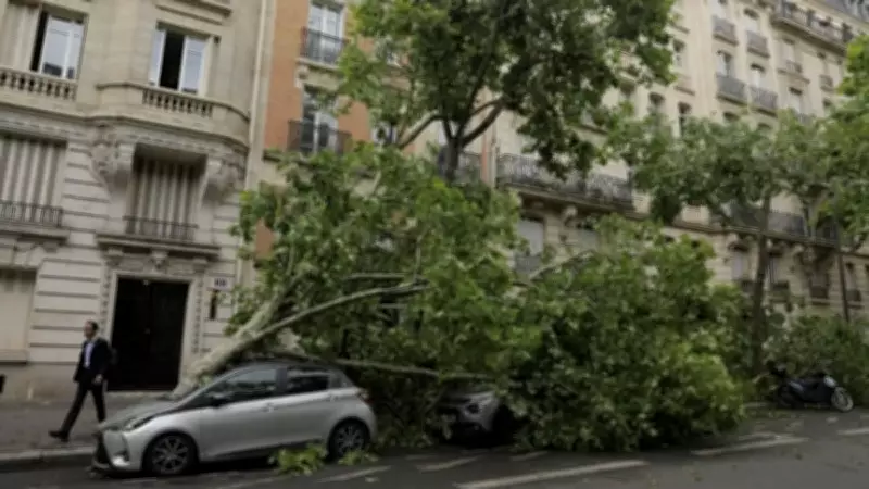Fransa'yı Nils Fırtınası Vurdu: 3 Can Kaybı, Geniş Çaplı Hasar