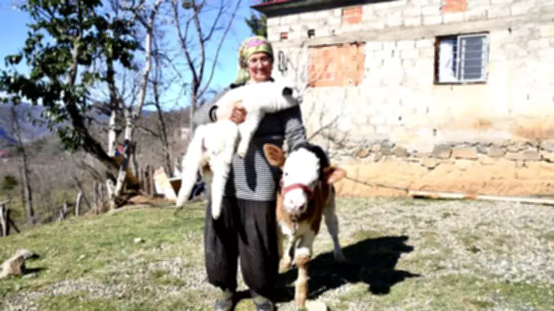 Giresun'da Sabire Teyze, Görme Engelli Buzağı ve Kuzusuna Şefkat Eli Uzatıyor