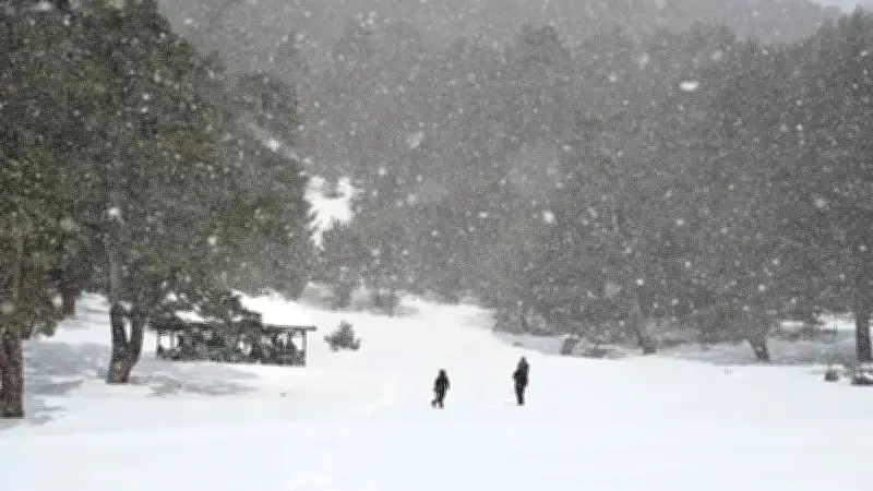 Gümüşhane'de Dört Mevsim Bir Arada: GÜDAK'ın Torul'daki Unutulmaz Doğa Yürüyüşü