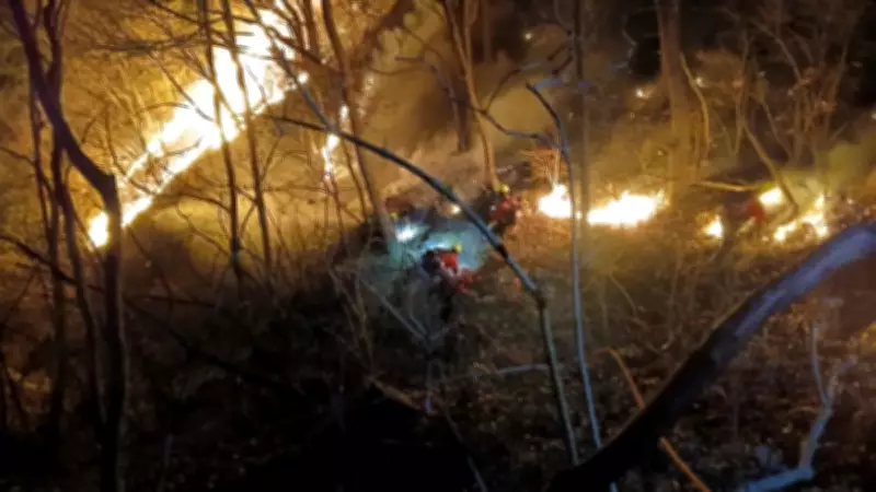 Güney Kore'de Büyük Orman Yangını: 143 Hektar Küle Döndü, 20 Saatlik Mücadele