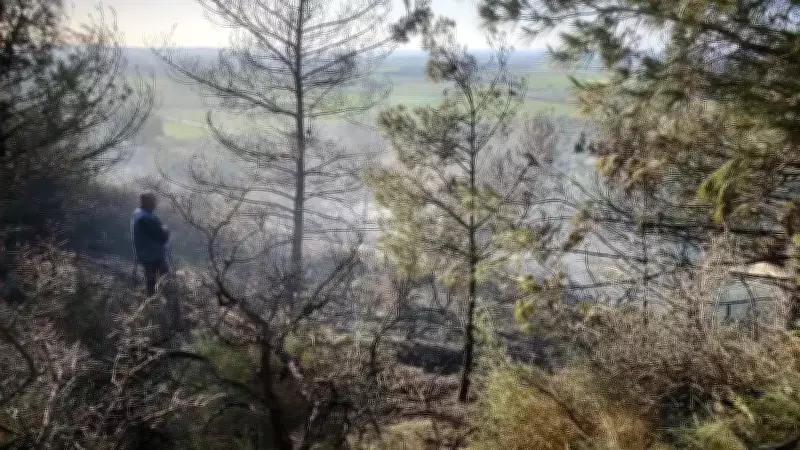 Hatay'da Çıkan Büyük Orman Yangını İtfaiye Ekiplerince Kontrol Altına Alındı