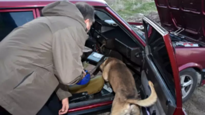 Helikopter ve İHA Destekli Büyük Baskın: 3 İlde Kilolarca Uyuşturucu Ele Geçirildi