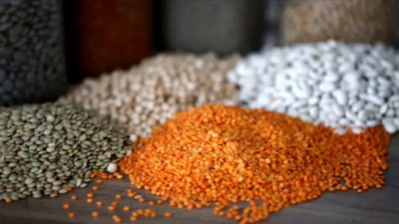 Hububat, Bakliyat ve Yağlı Tohum İhracatı Ocak'ta 1 Milyar Dolara Yaklaştı