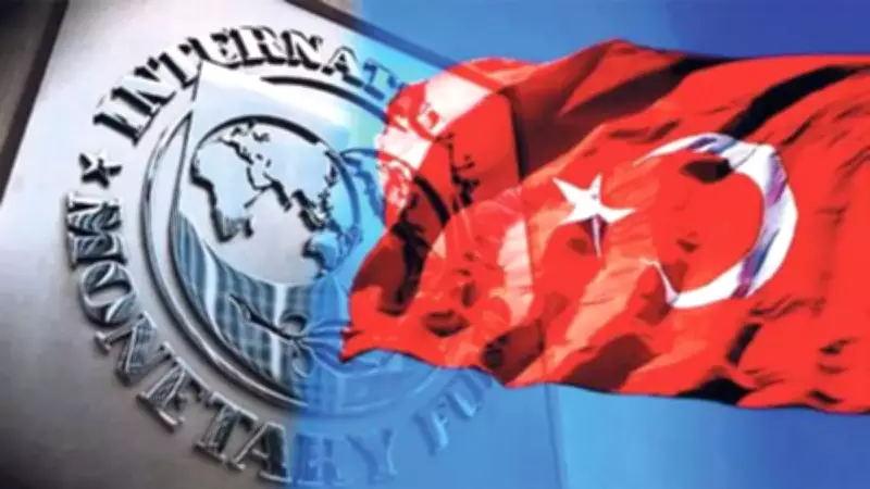 IMF Türkiye'nin Dezenflasyon Programını Övdü: 'Başarılı Politika Bileşimi'