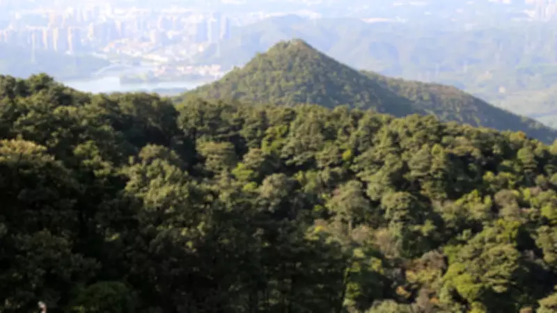 Çin Ormanlarında Dünya'nın En Genç Gök Taşı Krateri Keşfedildi